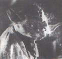Yoda.